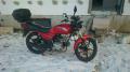 BARTON FIGHTER 50/80