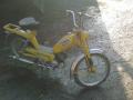 BATAVUS GOGO 