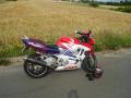 honda cbr 600 f3 sprzedam motocykl sportowy motorrad verkaufen motorcycle sale