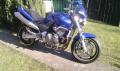 HORNET 600N