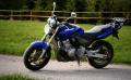 HONDA HORNET CB 600