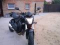 HONDA HORNET 