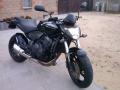 honda hornet  sprzedam motocykl sportowo-turystyczny motorrad verkaufen motorcycle sale