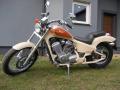 HONDA SHADOW VT 600