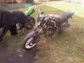 honda vf 500 f interceptor sprzedam motocykl sportowy motorrad verkaufen motorcycle sale honda vf 500 f interceptor sprzedam motocykl sportowy motorrad verkaufen motorcycle sale