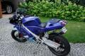 DERBI GPR 50R
