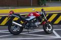 HONDA VTR 250 