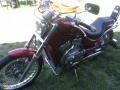 VS 800 INTRUDER