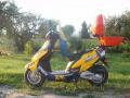 KINGWAY  COBUS