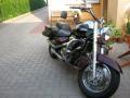 SUZUKI INTRUDER