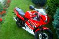 YAMAHA TZR
