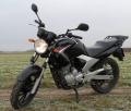 YAMAHA YBR 250