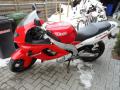 YAMAHA YZF 600 R THUNDERCAT