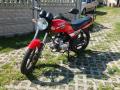 YANKEE BENZER DAFIER