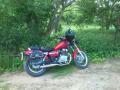 HONDA 250 CMX REBEL 