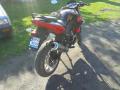 zipp pro 50 sprzedam motorower sportowy motorrad verkaufen motorcycle sale
